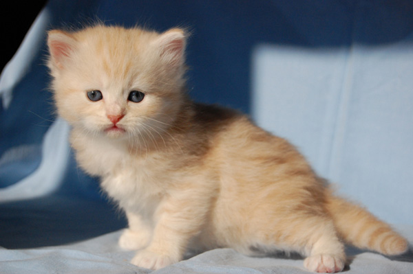 bin ich nicht hübsch.jpg